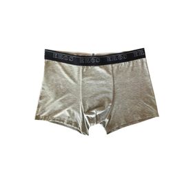 Eros Gri Erkek Boxer