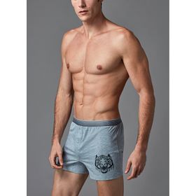 Eros Gri Erkek Boxer