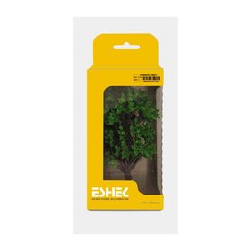 Eshel 10 cm 1 Adet Okaliptüs Ağacı