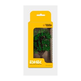 Eshel 10 cm 1 Adet Okaliptüs Ağacı
