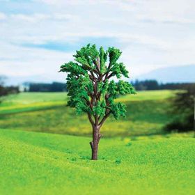 Eshel 10 cm 1 Adet Okaliptüs Ağacı