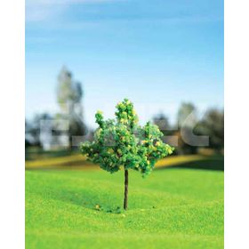 Eshel 4 cm 3 Adet Meyva Ağacı