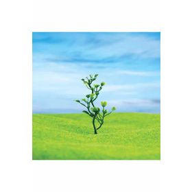 Eshel 8 cm 5 Adet Yeşil Çiçek Vazo