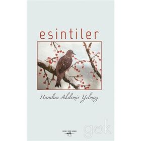 Esintiler - Mehmet Demir