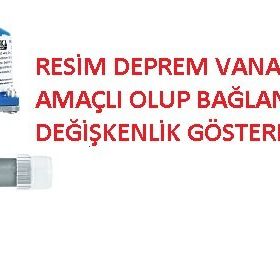 Eska Gaz 1 Mekanik Dişli Deprem Vanası