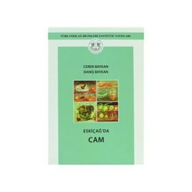 Eskiçağ’da Cam - Daniş Baykan Ceren Baykal