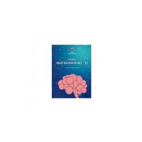 ESOBİL Zeka Bulmacaları 2 - Mehmet Esabil Yurdakul