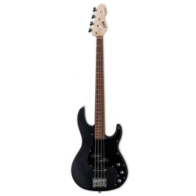 Esp AP-204/CHM Bass Gitar
