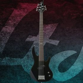 ESP LTD B-15 Kit Black 5 Telli Bass Gitar
