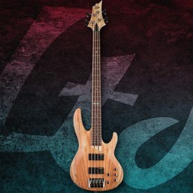 ESP LTD B204 Bass Gitar