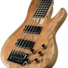 ESP LTD LB205SMNS Bass Gitar