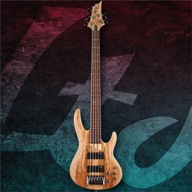 ESP LTD LB205SMNS Bass Gitar