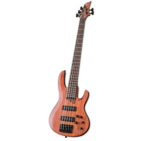 ESP Ltd RB-1005SM Bass Gitar