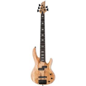 ESP Ltd RB-1005SM Bass Gitar