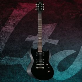 ESP LTD Viper-10 Elektro Gitar