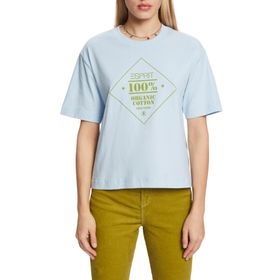 Espirt Baskılı jarse 410 Pastel Mavi Erkek T-shirt