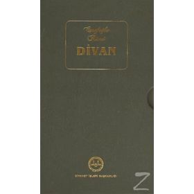 Eşrefoğlu Rumi Divanı - Mustafa Tatcı