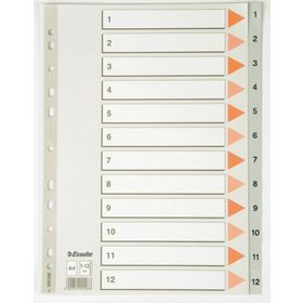 Esselte 1001 A4 1-12 Rakam Gri Seperatör