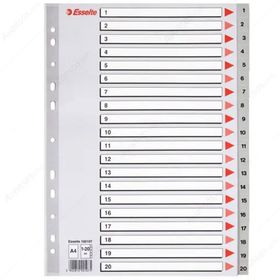 Esselte A4 1-20 Rakam Dosya Ayracı
