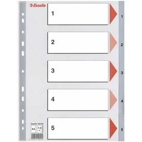 Esselte SLT-100103 1-5 Rakamlı Seperatör