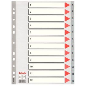 Esselte SLT-100106 1-12 Rakamlı Seperatör