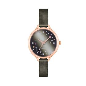 Essence D1114.480 Kadın Kol Saati