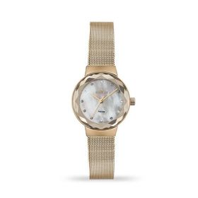 Essence D1119.420 Kadın Kol Saati