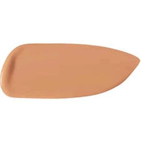 Estee Lauder Double Wear 2N1 Desert Beige Fondöten