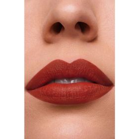 Estee Lauder Pure Color Matte 333 Persuasive Ruj