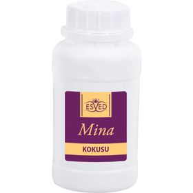 Esved 100 ml Mina Kokusu Çubuklu Koku Bambu Kokusu Yedek Dolum Şişesi