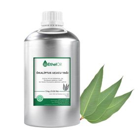 EthelOil 5 kg Ökaliptus Uçucu Yağ