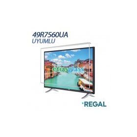 Etiasglass Regal 49R7560UA Uyumlu Tv Ekran Koruyucu