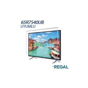 Etiasglass Regal 65R7540UB Uyumlu Tv Ekran Koruyucu
