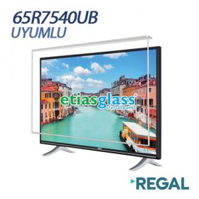 Etiasglass Regal 65R7540UB Uyumlu Tv Ekran Koruyucu
