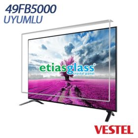 Etiasglass Vestel 49FB5000 Ekran Koruyucu
