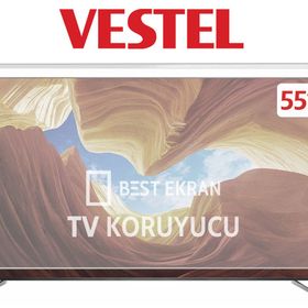 Etiasglass Vestel 55FA8500 Tv Ekran Koruyucu