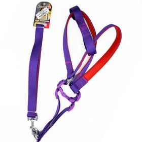 Euro Dog Kırmızı 120 cm Köpek Uzatma Tasması ve Göğüs Tasması Takımı