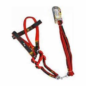 Euro Dog Kırmızı 20 mm 120 cm Köpek Uzatma Tasması ve Göğüs Tasması Takımı