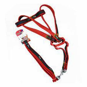 Euro Dog Kırmızı 25 mm 120 cm Lastikli Köpek Uzatma Tasması
