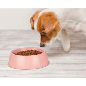 Euro Dog Küçük Yuvarlak Mama Kabı