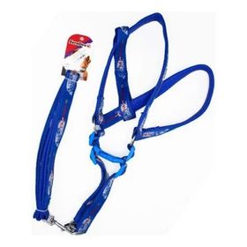 Euro Dog Mavi Beyaz 25 mm 120 cm Köpek Uzatma Tasması + Göğüs Tasması Takımı