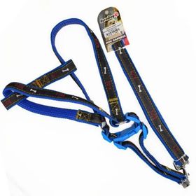 Euro Dog Mavi Siyah 25 mm 120 cm Köpek Uzatma Tasması + Göğüs Tasması Takımı