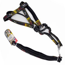 Euro Dog Siyah 20 mm 120 cm Köpek Uzatma Tasması ve Göğüs Tasması Takımı