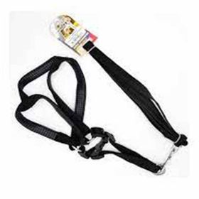 Euro Dog Siyah 20 mm 120 cm Köpek Uzatma Tasması ve Göğüs Tasması