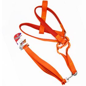 Euro Dog Turuncu 25 mm 120 cm Köpek Uzatma Tasması ve Göğüs Tasması Takımı