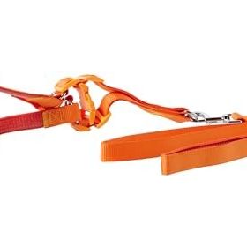Euro Dog Turuncu 25 mm 120 cm Köpek Uzatma Tasması ve Göğüs Tasması Takımı