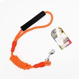 Euro Dog Turuncu 8 mm x 120 cm Köpek Gezdirme Tasması