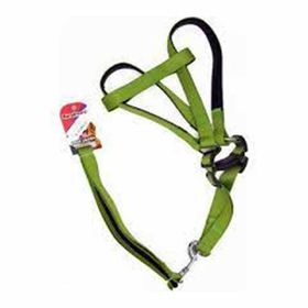 Euro Dog Yeşil 25 mm 120 cm Köpek Uzatma Tasması ve Göğüs Tasması Takımı