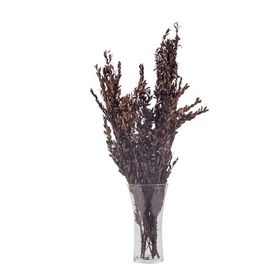 Euro Flora 70 cm Kuru Bitki Buxus