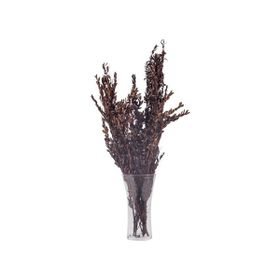 Euro Flora 70 cm Kuru Bitki Buxus